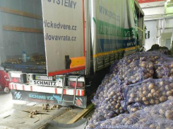 10 тонн картофеля украинец хотел незаконно ввезти в Ростовскую область 