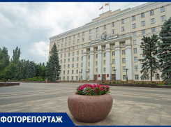 Деньги на зелень: на что уходят миллионы рублей, выделенные на озеленение Ростова