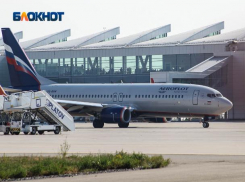 После инцидента с экстренной посадкой самолета в Ростове уволен сотрудник службы безопасности аэропорта 