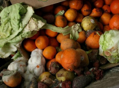 Больше трех тонн порченных овощей и фруктов чуть было не попали на прилавки Ростова