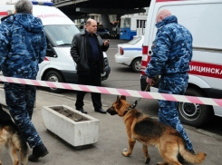 Пенсионерка обвинила внука из Украины в подготовке теракта на вокзале в Азове 