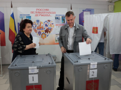 Врио губернатора проголосовал в своей родной школе в Ростове