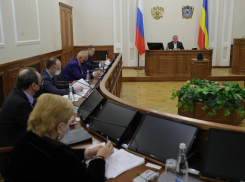Правительство Ростовской области подготовит план поддержки экономики к 9 марта