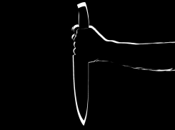 Девушка в Ростовской области одним ударом ножа убила сожителя