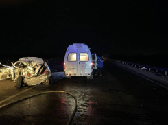 В ДТП с фурой под Азовом погибли два человека