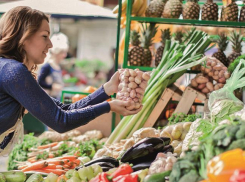 Фермеры Дона смогут продавать свою продукцию на автостоянках «Ленты»
