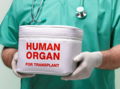 Двое таганрожцев намеревались продать своего знакомого на органы за полтора миллиона рублей