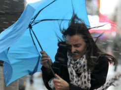 Опасные ливни с сильным ветром и похолоданием обрушатся на жителей Ростова