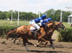 В Ростове открылся новый скаковой сезон 