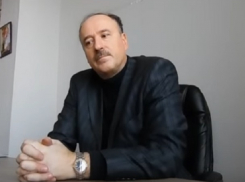 Считаю, что должны быть проведены выборы нового губернатора Ростовской области, - Беркович