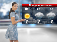 Дожди с грозами и сильный ветер ожидаются в Ростове на этих выходных