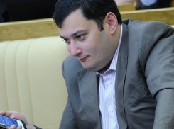 Полицию Ростовской области проверит комиссия МВД России