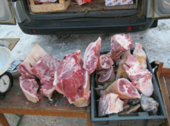 Крупную партию свинины заставили залить хлорной известью на рынке в Ростовской области