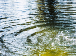 Под Ростовом в водоёме нашли тело пропавшего пенсионера