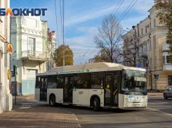 В Ростов привлекут водителей автобусов из Республики Алтай