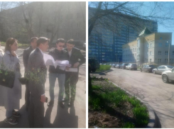 В Ростове благоустройство пешеходной зоны в Александровке могут отменить