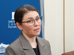 Донским чиновникам и депутатам посоветовали ездить на общественном транспорте