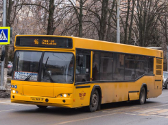 В Ростове маршруту №94 и №96 отдадут муниципальному перевозчику с 1 августа