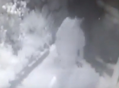 Попытка изнасилования 15-летней девочки жестоким маньяком-садистом в Ростове попала на видео