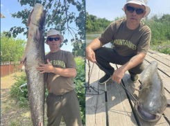 Историей поимки 37-килограммового сома методом троллинга поделился ростовский рыболов