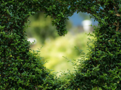 Каким знакам Зодиака улыбнется удача на этой неделе 