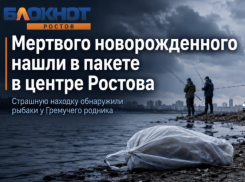 Мертвого новорожденного ребенка нашли в пакете выброшенным в центре Ростова  — Источник Блокнот