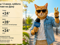 Солнечно и до +28 градусов: какая погода ждет ростовчан 13 июня