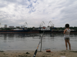 Под Ростовом только один водоем оказался пригодным для купания