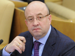 Эксперты считают, что Владимир Плигин принесет пользу донскому региону