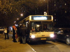 Ростовские активисты выступили за создание ночного общественного транспорта 