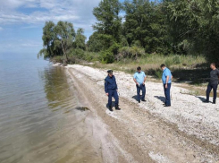 Прокуратура заинтересовалась делом о массовой гибели рыбы в Цимлянском водохранилище