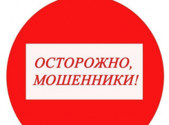 Дончан предупреждают о мошенниках, представляющихся руководителями Роспотребнадзора и сотрудниками СК