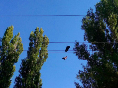 «Летающие» ботинки на проводах у школы Ростова вызвали неприятные ассоциации у горожан