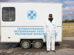 В Ростовской области директора ветслужбы отправили в тюрьму за вымогательство денег у подчиненных
