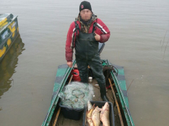 На Дону продолжается «Путина»: у нарушителей изымают лодки и рыбу 