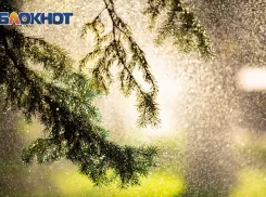 В Ростове 23 июня будет дождливо и прохладно