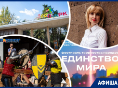 Угощаем носорогов, узнаем о ревности и становимся рыцарями: куда пойти в Ростове на этой неделе