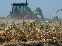 Эксперт прогнозирует распространение засухи на 75% площади Ростовской области