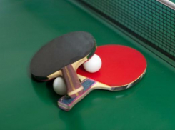 Календарь: Всемирный день настольного тенниса