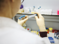 В донском минздраве уверены, что коронавирус пойдет на спад через две недели