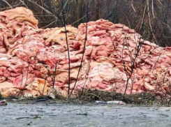 Прокуратура начала проверку после находки выброшенного сырого мяса на трассе в Ростовской области