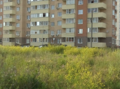 Позорный гектар бурьяна и амброзии испортил жизнь на Вселенной в Ростове