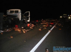 В Ростовской области столкнулись 2 «Газели»: водители погибли