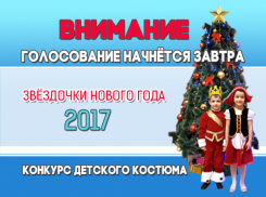 Голосование за участников конкурса «Звездочки Нового года-2017» стартует 21 января