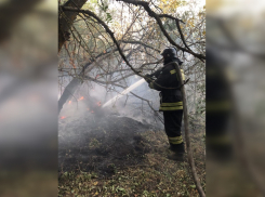 В Ростовской области потушили лесной пожар, из-за которого эвакуировали хутор