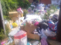 «Абсолютно адекватна»: в Ростове соседка-барахольщица завалила весь двор мусором