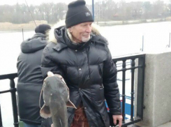 Огромного сома выловил на праздники в Дону опытный рыбак на набережной Ростова