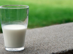 В Ростовской области предприниматель торговал молоком неизвестного происхождения 