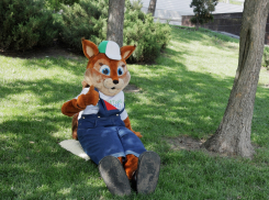 Экосоветы: как ростовчанам сделать мягкий коврик для пикников 