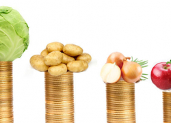 Из-за системы «Платон» продукты в Ростовской области вырастут в цене